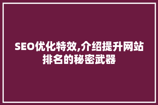 SEO优化特效,介绍提升网站排名的秘密武器