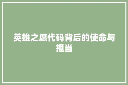 英雄之愿代码背后的使命与担当