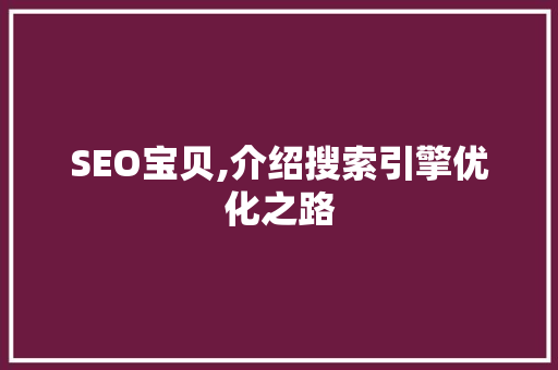 SEO宝贝,介绍搜索引擎优化之路