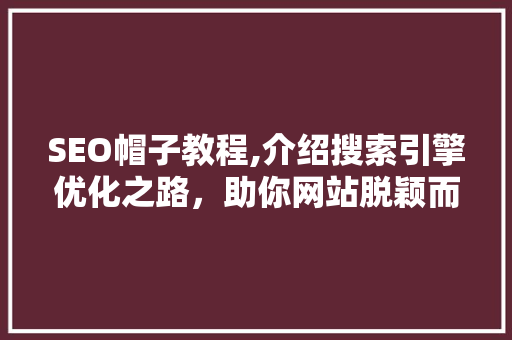 SEO帽子教程,介绍搜索引擎优化之路，助你网站脱颖而出