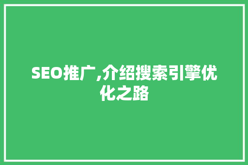 SEO推广,介绍搜索引擎优化之路