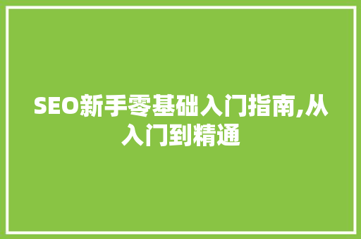 SEO新手零基础入门指南,从入门到精通  第1张