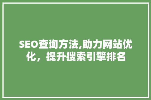 SEO查询方法,助力网站优化，提升搜索引擎排名