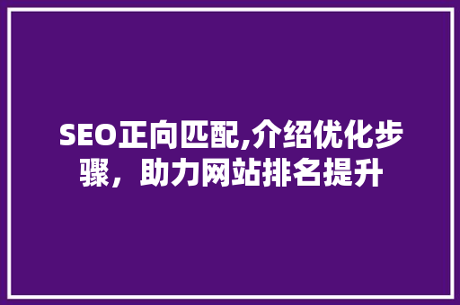 SEO正向匹配,介绍优化步骤，助力网站排名提升