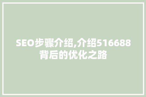 SEO步骤介绍,介绍516688背后的优化之路
