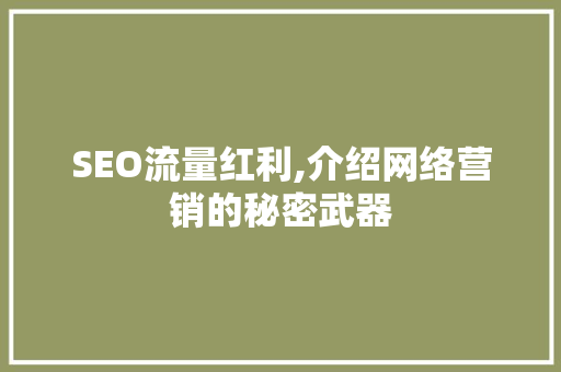 SEO流量红利,介绍网络营销的秘密武器