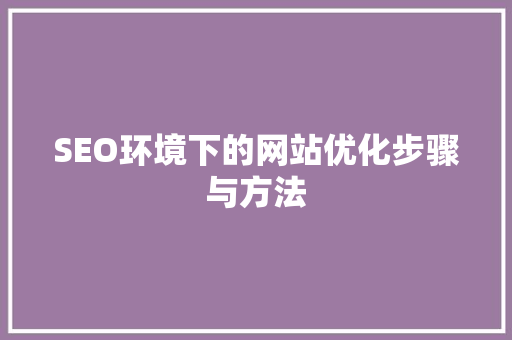 SEO环境下的网站优化步骤与方法