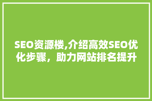 SEO资源楼,介绍高效SEO优化步骤，助力网站排名提升  第1张