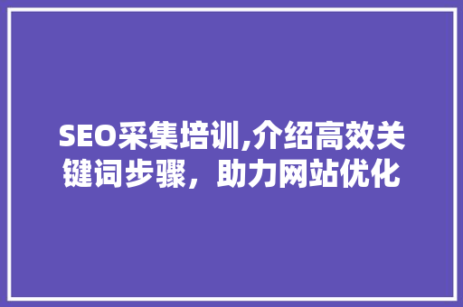 SEO采集培训,介绍高效关键词步骤，助力网站优化