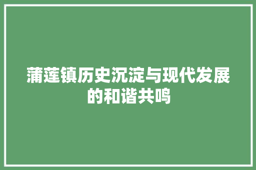 蒲莲镇历史沉淀与现代发展的和谐共鸣