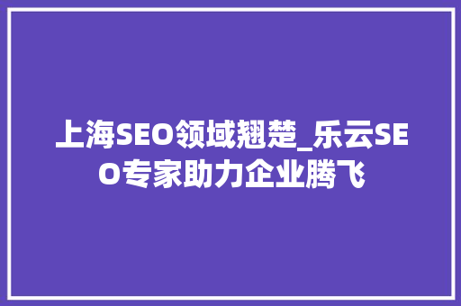 上海SEO领域翘楚_乐云SEO专家助力企业腾飞