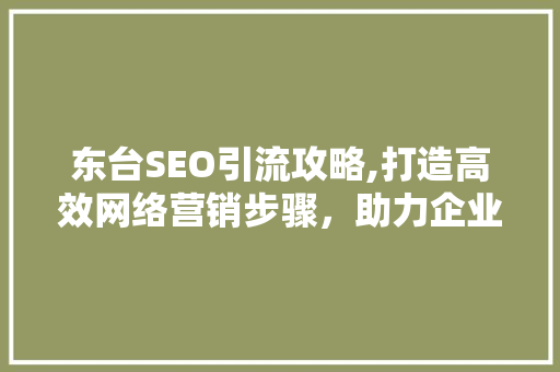 东台SEO引流攻略,打造高效网络营销步骤，助力企业腾飞