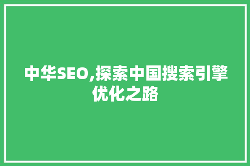 中华SEO,探索中国搜索引擎优化之路
