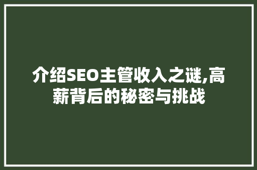 介绍SEO主管收入之谜,高薪背后的秘密与挑战