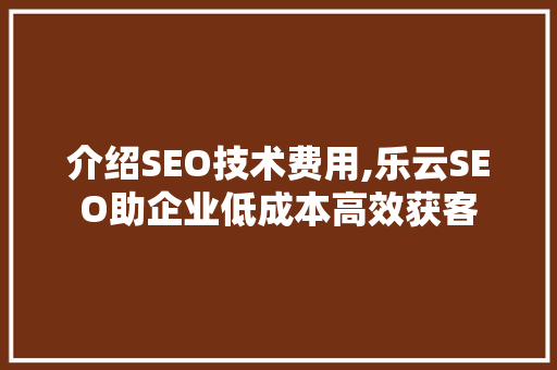 介绍SEO技术费用,乐云SEO助企业低成本高效获客