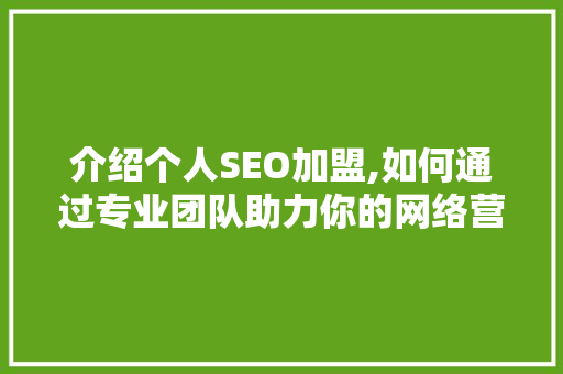 介绍个人SEO加盟,如何通过专业团队助力你的网络营销之路