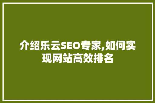 介绍乐云SEO专家,如何实现网站高效排名  第1张