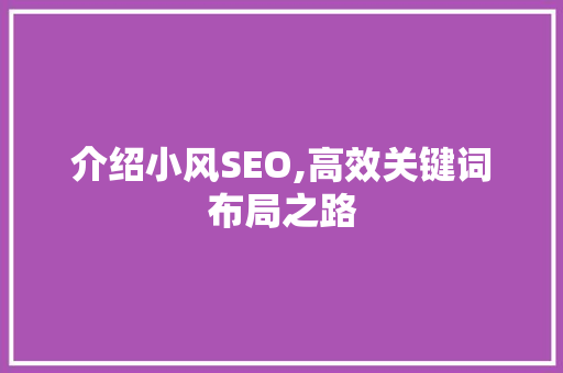 介绍小风SEO,高效关键词布局之路