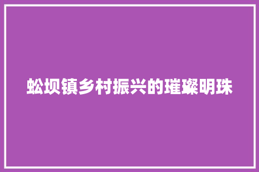 蚣坝镇乡村振兴的璀璨明珠