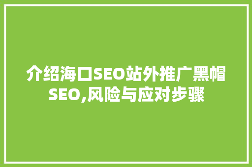 介绍海口SEO站外推广黑帽SEO,风险与应对步骤