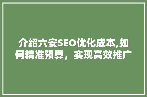 介绍六安SEO优化成本,如何精准预算，实现高效推广