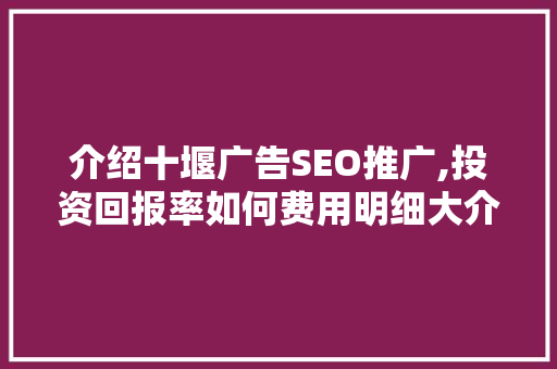 介绍十堰广告SEO推广,投资回报率如何费用明细大介绍！