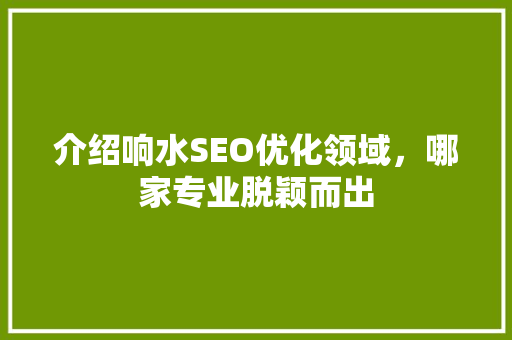 介绍响水SEO优化领域，哪家专业脱颖而出