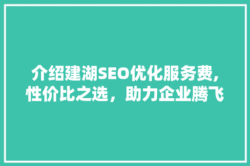 介绍建湖SEO优化服务费,性价比之选，助力企业腾飞