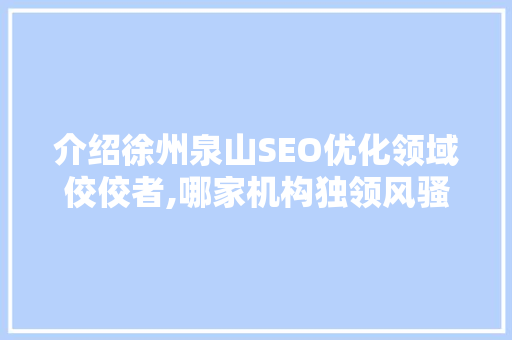 介绍徐州泉山SEO优化领域佼佼者,哪家机构独领风骚