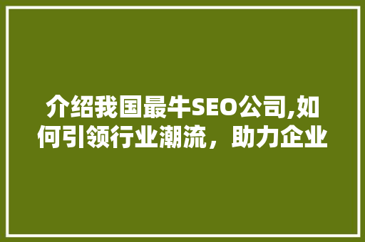 介绍我国最牛SEO公司,如何引领行业潮流，助力企业腾飞