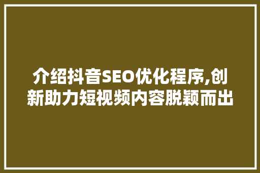 介绍抖音SEO优化程序,创新助力短视频内容脱颖而出