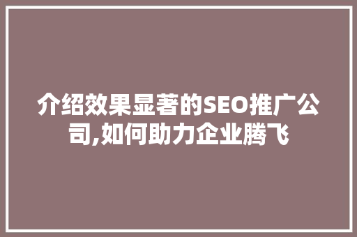 介绍效果显著的SEO推广公司,如何助力企业腾飞