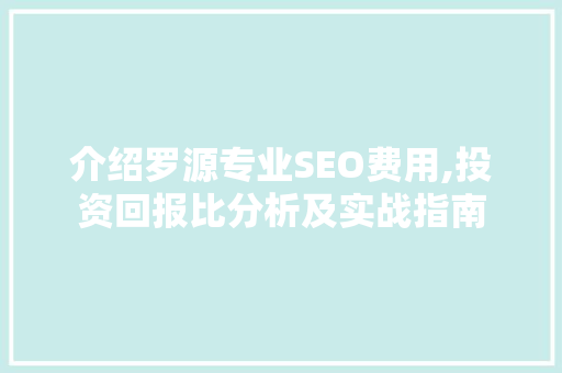 介绍罗源专业SEO费用,投资回报比分析及实战指南  第1张