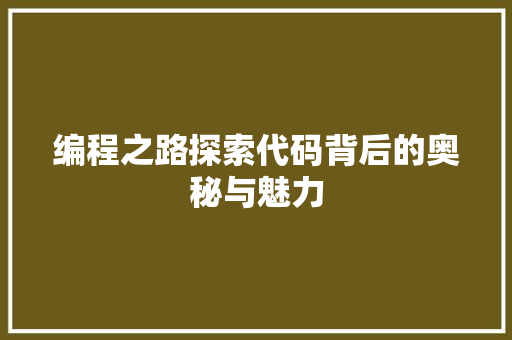 编程之路探索代码背后的奥秘与魅力