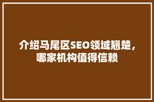 介绍马尾区SEO领域翘楚，哪家机构值得信赖