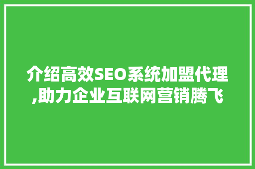 介绍高效SEO系统加盟代理,助力企业互联网营销腾飞