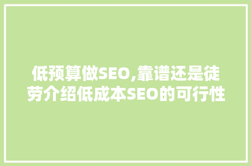 低预算做SEO,靠谱还是徒劳介绍低成本SEO的可行性及步骤