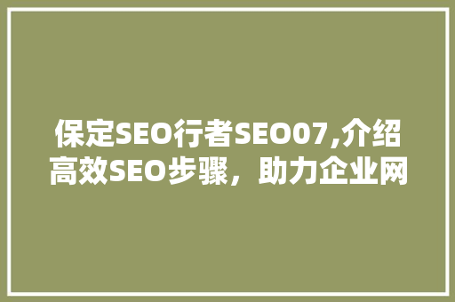 保定SEO行者SEO07,介绍高效SEO步骤，助力企业网络营销腾飞