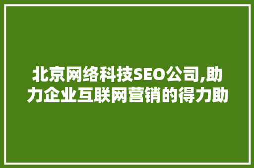 北京网络科技SEO公司,助力企业互联网营销的得力助手  第1张