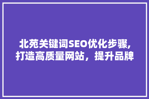 北苑关键词SEO优化步骤,打造高质量网站，提升品牌影响力