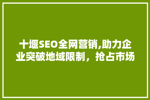 十堰SEO全网营销,助力企业突破地域限制，抢占市场先机