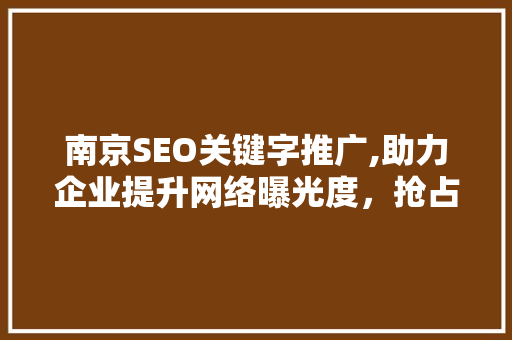 南京SEO关键字推广,助力企业提升网络曝光度，抢占市场先机