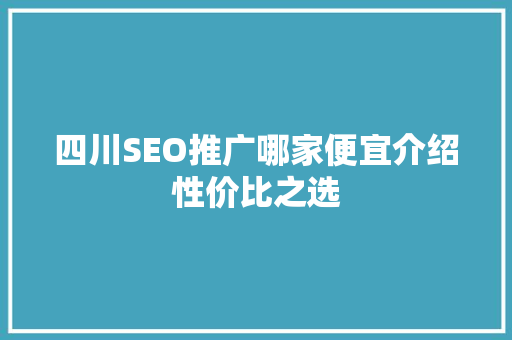 四川SEO推广哪家便宜介绍性价比之选