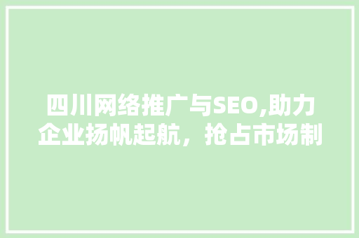 四川网络推广与SEO,助力企业扬帆起航，抢占市场制高点