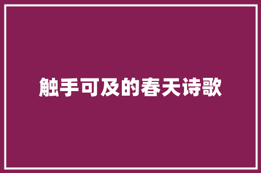 天津SEO推广质量哪家强介绍本地优质SEO服务商