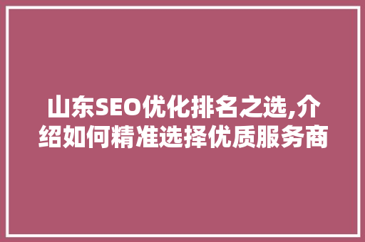 山东SEO优化排名之选,介绍如何精准选择优质服务商