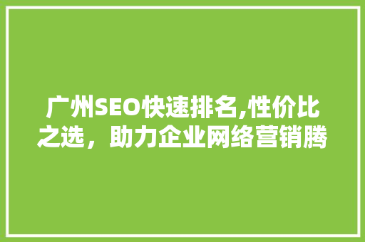 广州SEO快速排名,性价比之选，助力企业网络营销腾飞