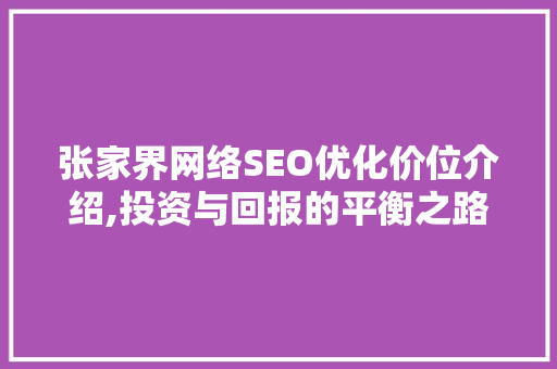 张家界网络SEO优化价位介绍,投资与回报的平衡之路
