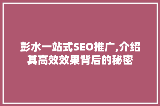 彭水一站式SEO推广,介绍其高效效果背后的秘密