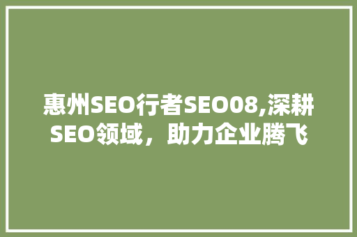 惠州SEO行者SEO08,深耕SEO领域，助力企业腾飞
